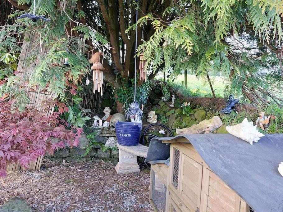 Cosy Cornish Cabin St Austell Exterior photo